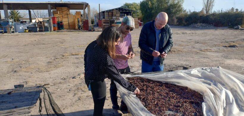 Importante importador de Brasil recorrió toda la provincia en busca de alimentos