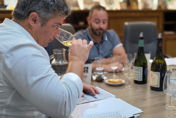 Empresario español visitó Mendoza para conocer la oferta local de pinot noir, sauvignon blanc, torrontés y chardonnay